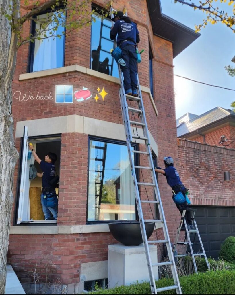 quality window cleaning services