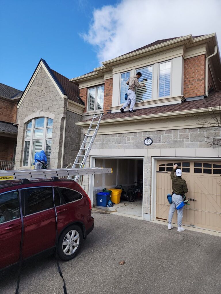 range of window cleaning services