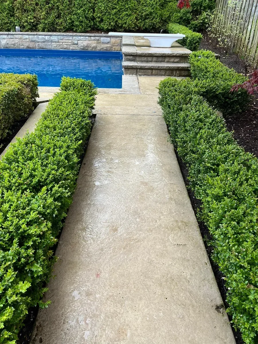 After concrete walkway cleaning by Bright Home Care in the GTA